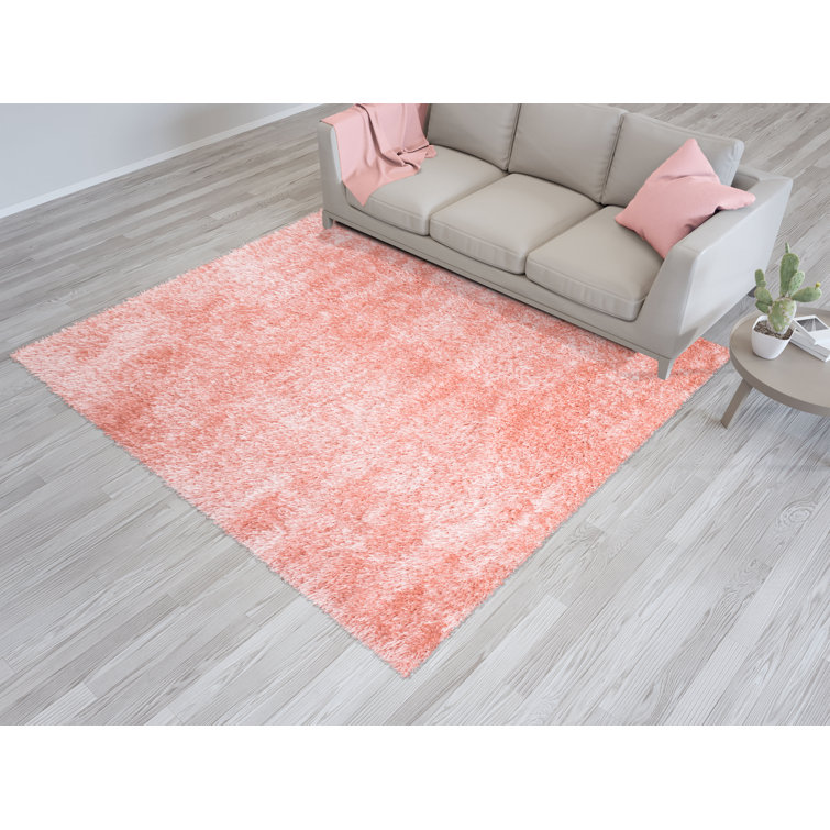 Symple Stuff Modern Stylish Soft ThickLarge Shaggy Rugs Hallway Runner